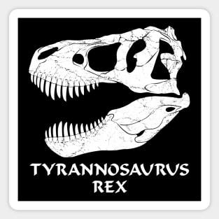 Tyrannosaurus Rex fossil skull Magnet